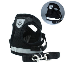 Adjustable Vest Harness & Leash Set for Dogs & Cats – Harnexo™
