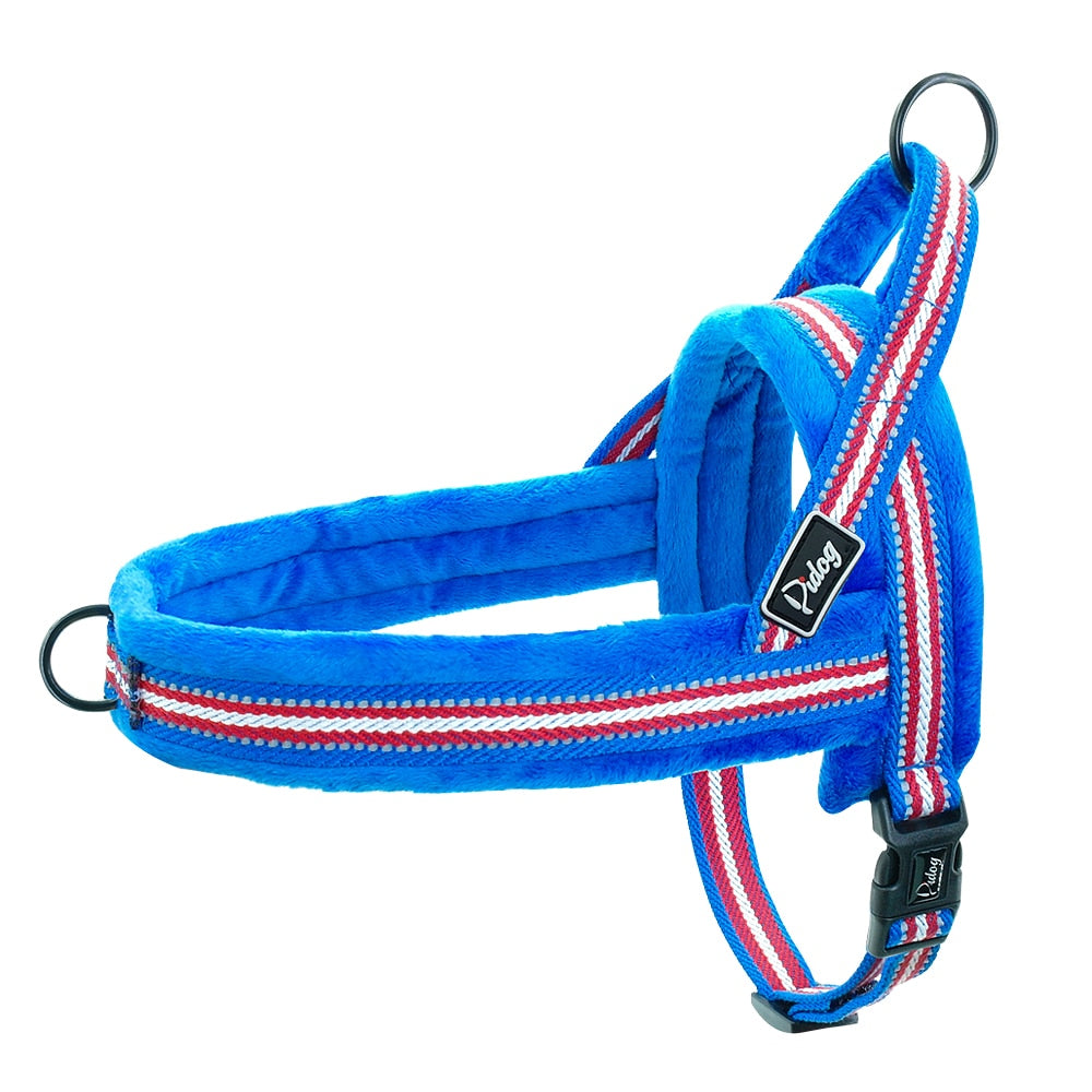 Basic Pet Collar in Light Blue, Dark Blue, Pink & Green – Duro™