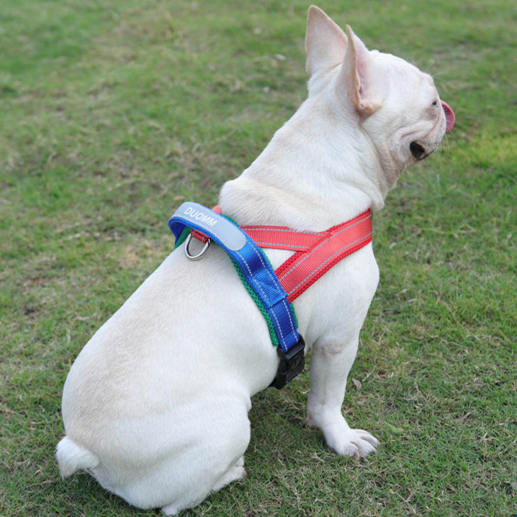 Soft Nylon Pet Chest Harness with Reflective Strip – Ondera™
