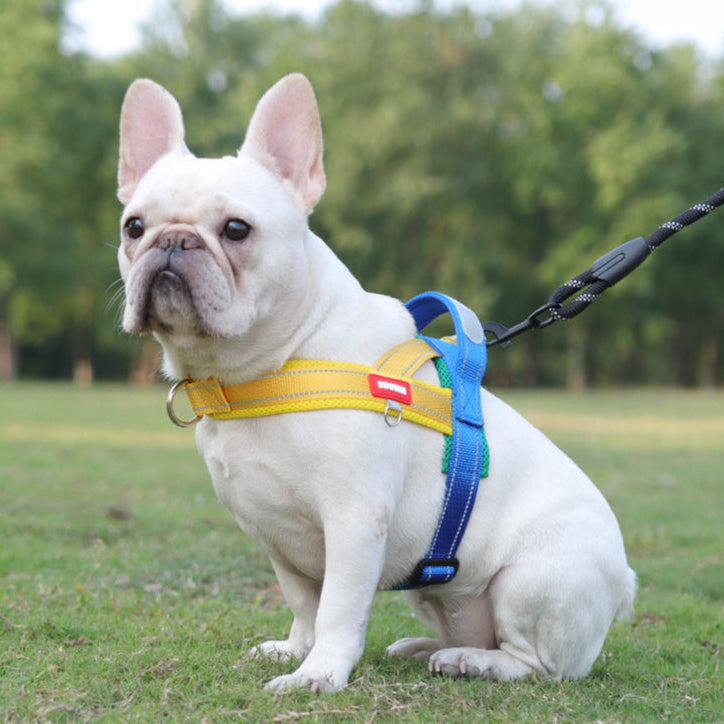 Soft Nylon Pet Chest Harness with Reflective Strip – Ondera™