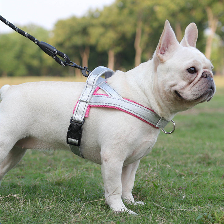Soft Nylon Pet Chest Harness with Reflective Strip – Ondera™