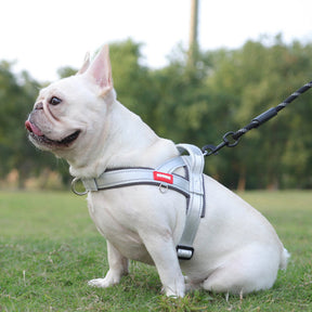 Soft Nylon Pet Chest Harness with Reflective Strip – Ondera™