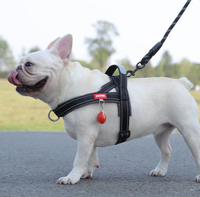 Soft Nylon Pet Chest Harness with Reflective Strip – Ondera™