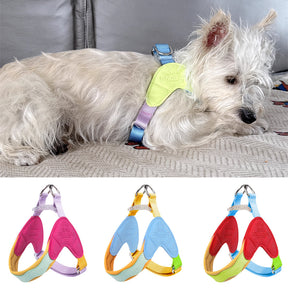 No-Pull Padded Pet Collar with Quick-Release Buckle – Huxlo™