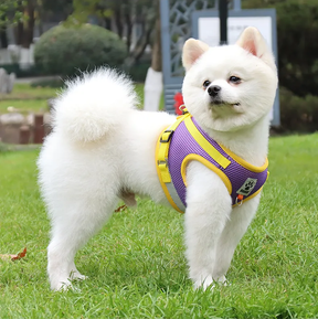 Reflective Chest Harness & Leash Set – Breathable Cotton-Poly Blend – GlowTrail™