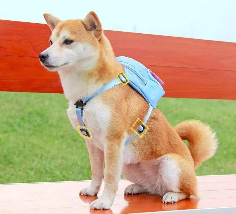 Backpack-Style Collar & Leash Set for Medium to Large Dogs – Wagport™