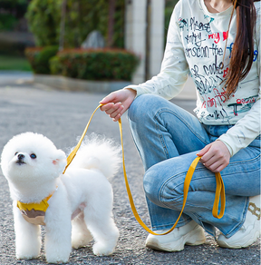 Adjustable Dog & Cat Collar and Leash Set with Lion & Bear Print – LoopLead™