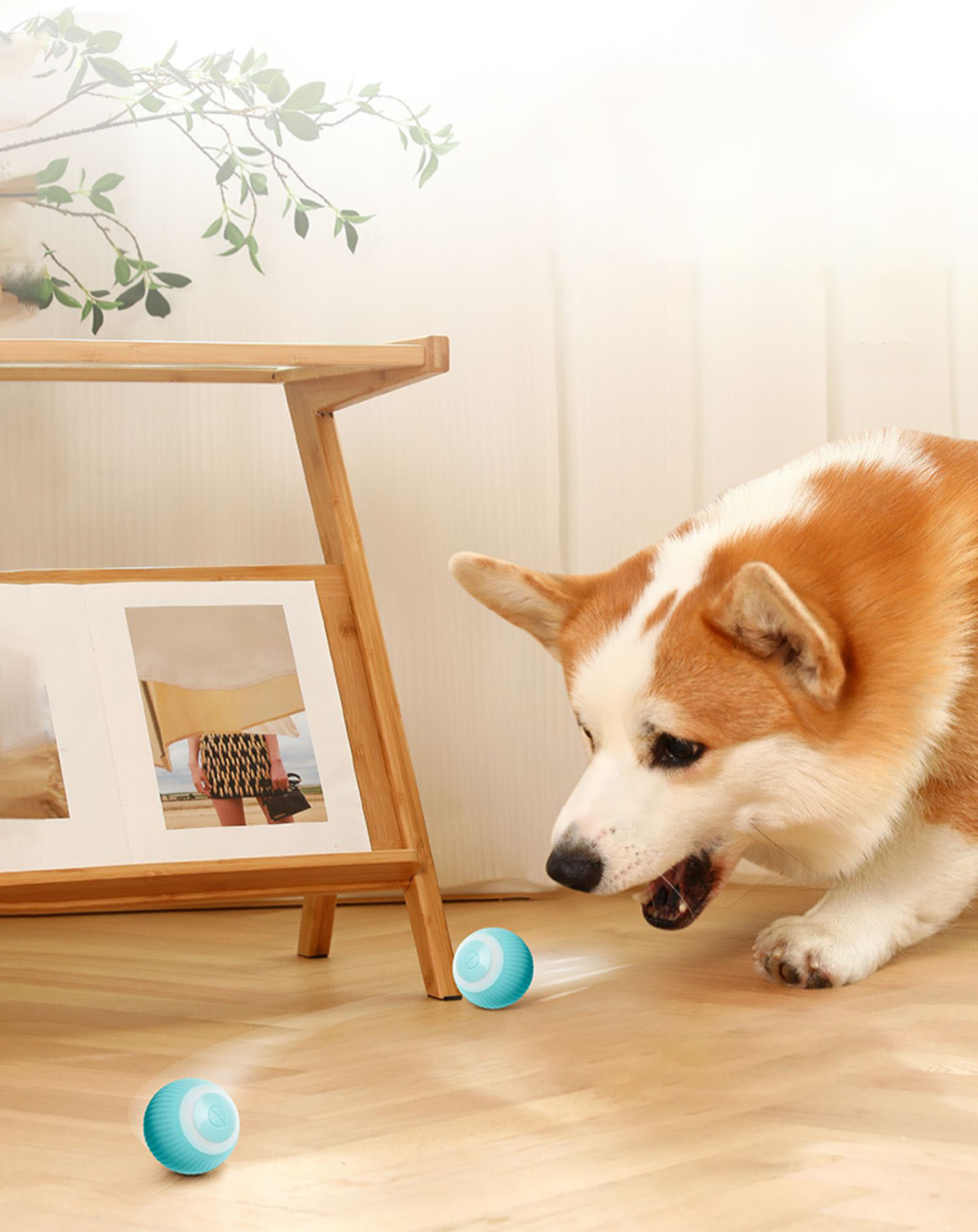 Self-Rolling Automatic Ball Pet Toy with USB Charging – Zumio™