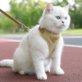 Chest Harness, Collar & Leash Set for Small to Medium Dogs – Barklow™