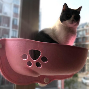 Suspended Cat Window Perch with Suction Cups – Ledgo™