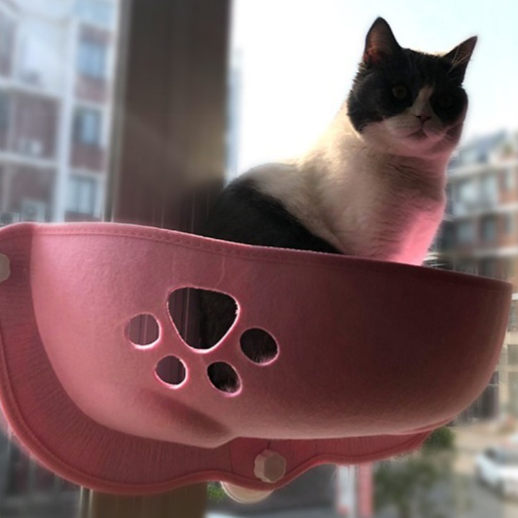 Suspended Cat Window Perch with Suction Cups – Ledgo™