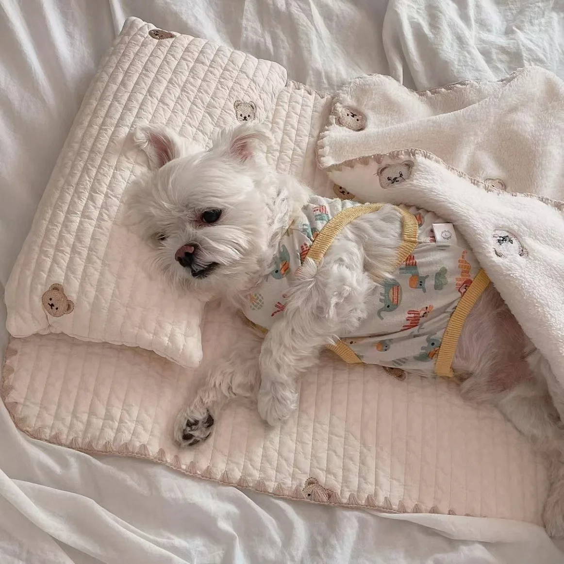 3-Piece Pet Bedding Set with Bear Embroidery – BearNest™