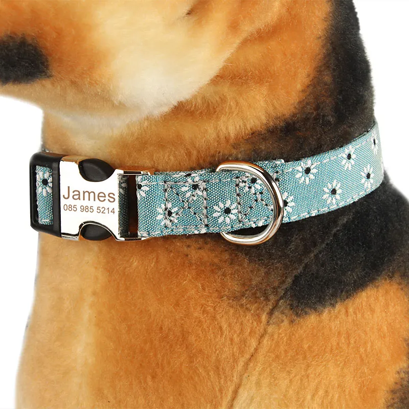 Personalized ID Pet Collar with Name & Phone Number – Tagwell™