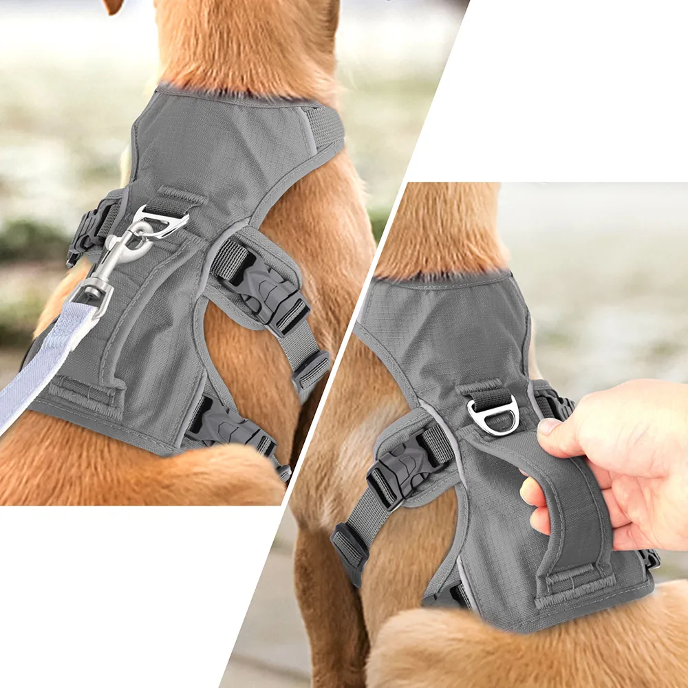 Padded Adjustable Chest Harness for Medium & Large Pets – Vorn™