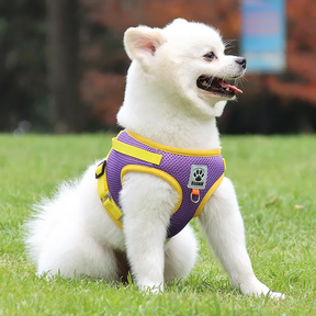 Reflective Chest Harness & Leash Set – Breathable Cotton-Poly Blend – GlowTrail™