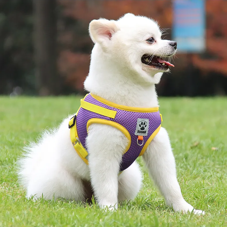 Reflective Chest Harness & Leash Set – Breathable Cotton-Poly Blend – GlowTrail™