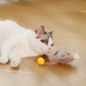 Automatic Rolling Ball Pet Toy with USB Charging – Kivoo™