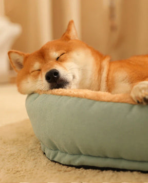 Cama Pet Jack