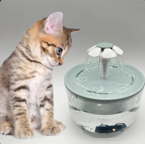 Automatic Pet Water Fountain with Filter – Ripplenest™
