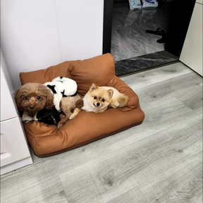 Pet Sofa Bed with Removable Cover & Non-Slip Base – HavenLuxe™