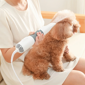 3-in-1 Pet Hair Dryer with Interchangeable Brush Heads – Drynn™