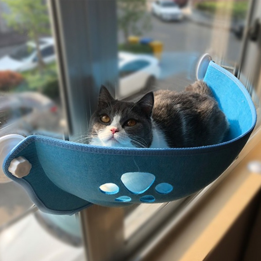Suspended Cat Window Perch with Suction Cups – Ledgo™