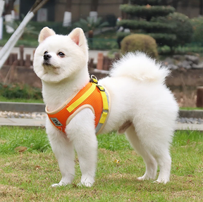 Reflective Chest Harness & Leash Set – Breathable Cotton-Poly Blend – GlowTrail™