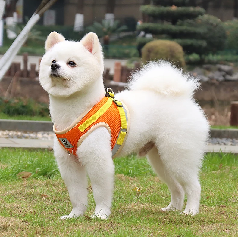 Reflective Chest Harness & Leash Set – Breathable Cotton-Poly Blend – GlowTrail™