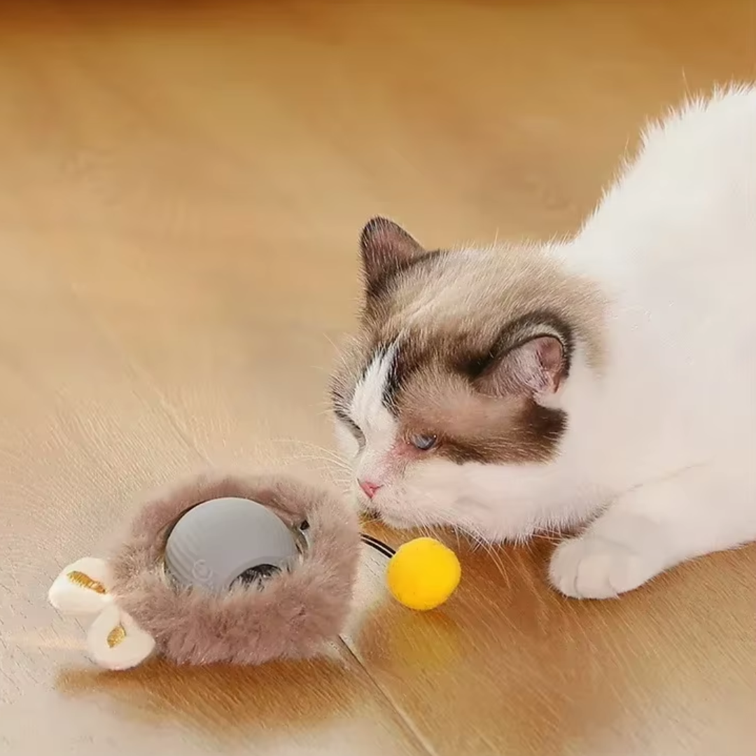 Automatic Rolling Ball Pet Toy with USB Charging – Kivoo™