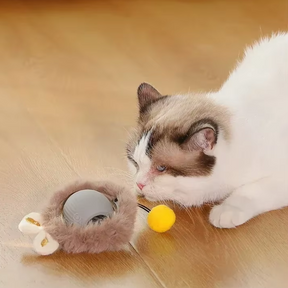 Automatic Rolling Ball Pet Toy with USB Charging – Kivoo™