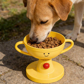 Adjustable Elevated Pet Bowl with Non-Slip Base for Dogs & Cats – Vertiko™