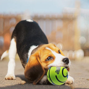 Interactive Giggle Sound Ball Dog Toy with Easy-Grip Design – Gigglo™