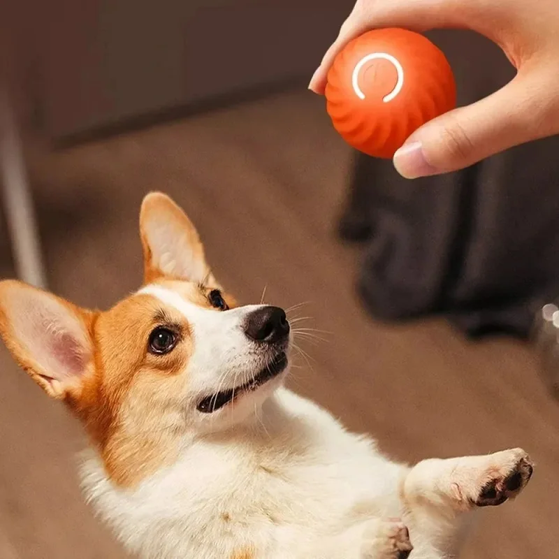 USB Rechargeable Automatic Rolling Fetch Ball Toy for Pets – Rovetta™