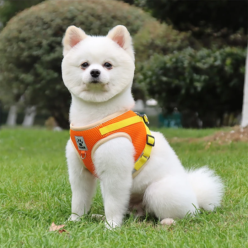 Reflective Chest Harness & Leash Set – Breathable Cotton-Poly Blend – GlowTrail™