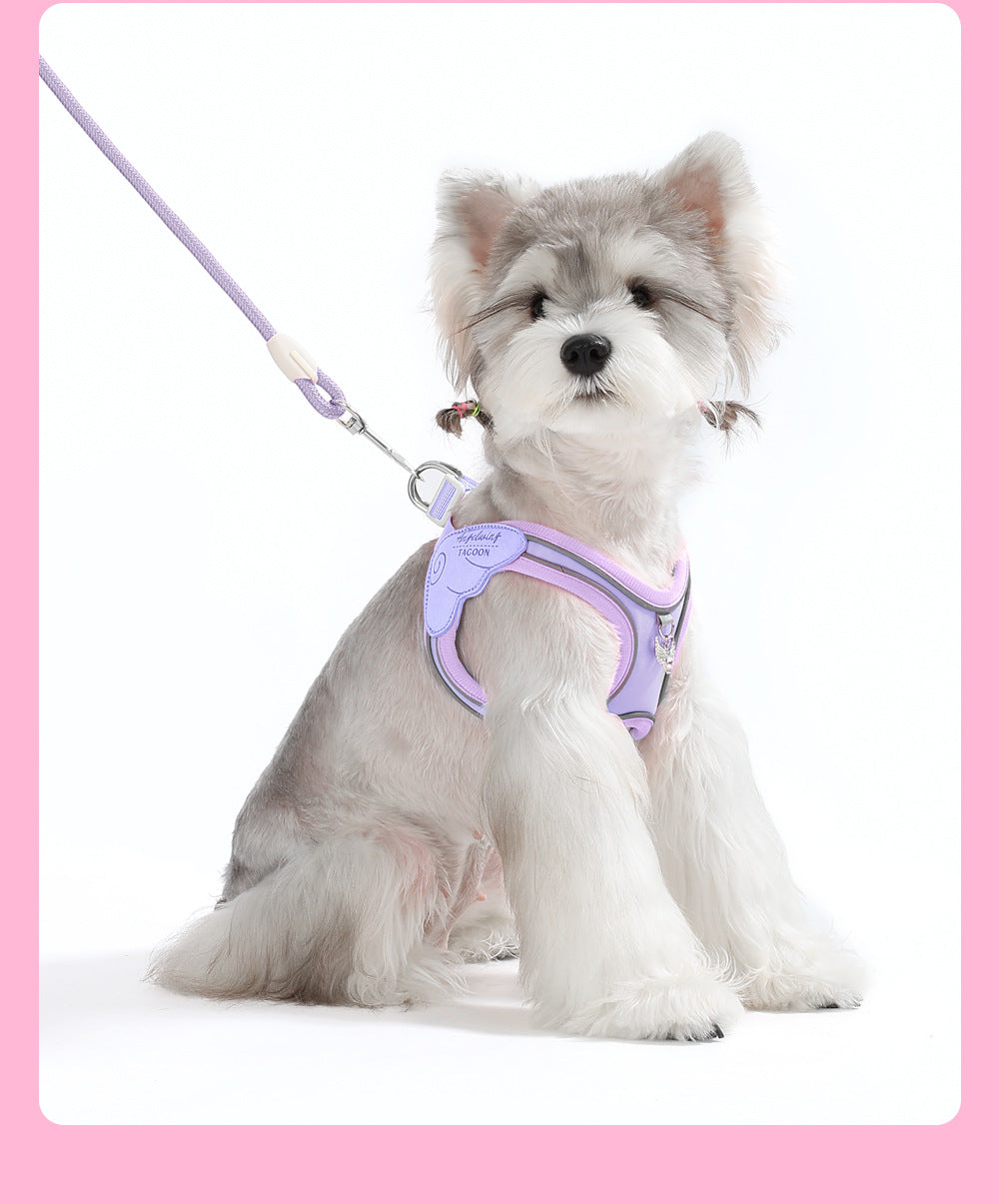 Pet Collar & Leash Set – Waterproof Reflective Nylon – Trotta™