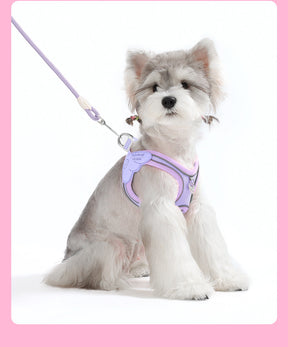 Pet Collar & Leash Set – Waterproof Reflective Nylon – Trotta™