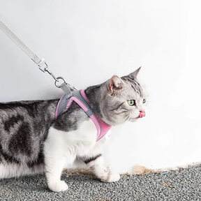 Reflective Collar & Leash Set for Dogs & Cats – Kinlo™