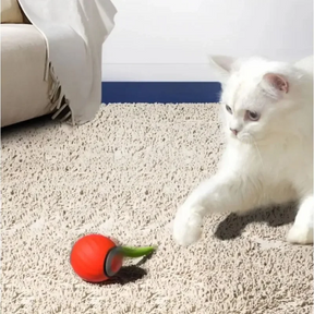 Automatic Rolling Ball Pet Toy, USB Rechargeable Motion Ball – Orbix™