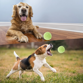 Automatic Rolling Pet Ball Toy with 4 Plush Covers – RolliPaw™