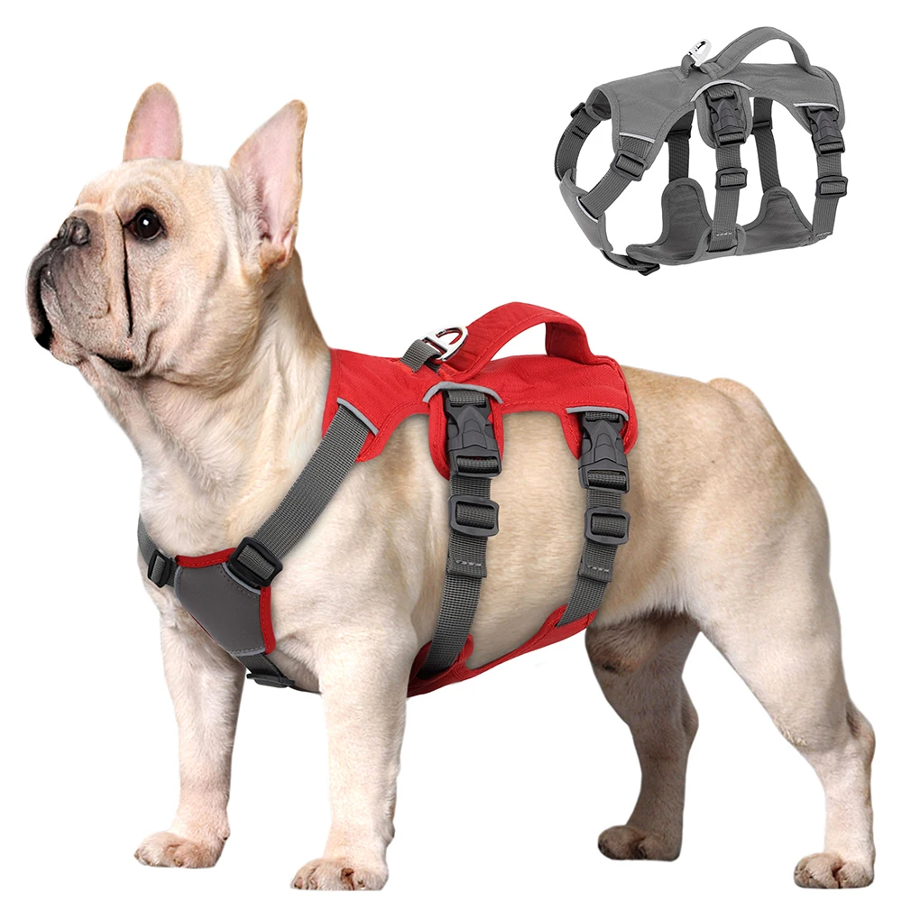 Padded Adjustable Chest Harness for Medium & Large Pets – Vorn™