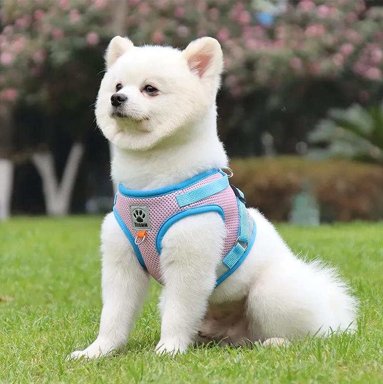 Reflective Chest Harness & Leash Set – Breathable Cotton-Poly Blend – GlowTrail™