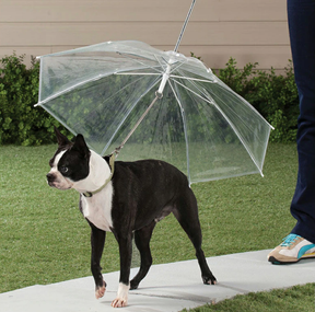 Clear Umbrella Pet Leash for Rain Protection Walks – RainWalk™