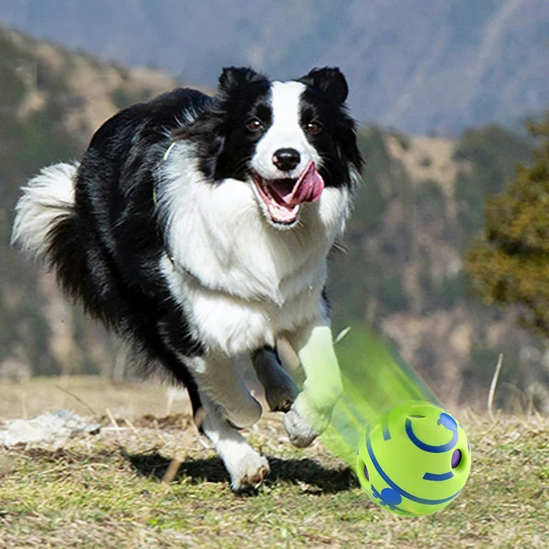 Interactive Giggle Sound Ball Dog Toy with Easy-Grip Design – Gigglo™
