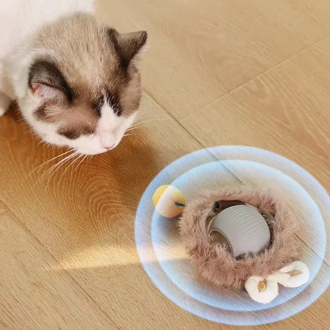Automatic Rolling Ball Pet Toy with USB Charging – Kivoo™