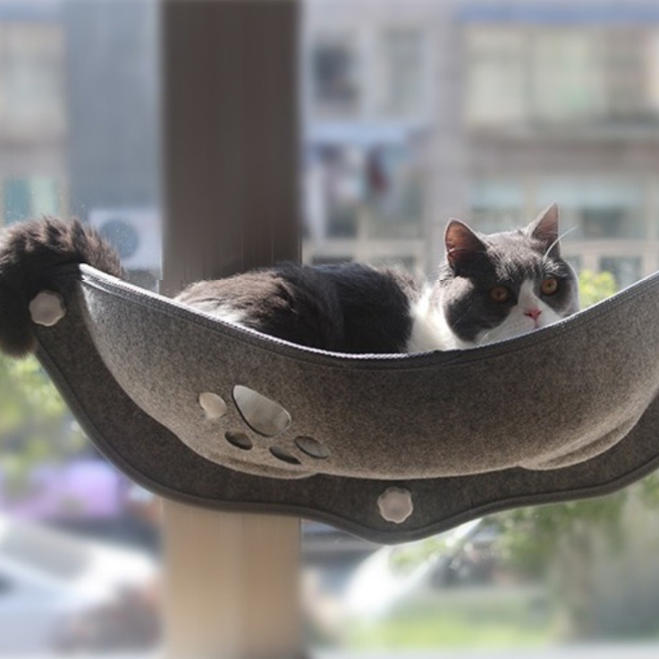 Suspended Cat Window Perch with Suction Cups – Ledgo™