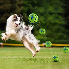 Interactive Giggle Sound Ball Dog Toy with Easy-Grip Design – Gigglo™
