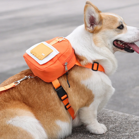 Backpack-Style Collar & Leash Set for Medium to Large Dogs – Wagport™