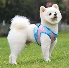 Reflective Chest Harness & Leash Set – Breathable Cotton-Poly Blend – GlowTrail™