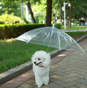 Clear Umbrella Pet Leash for Rain Protection Walks – RainWalk™