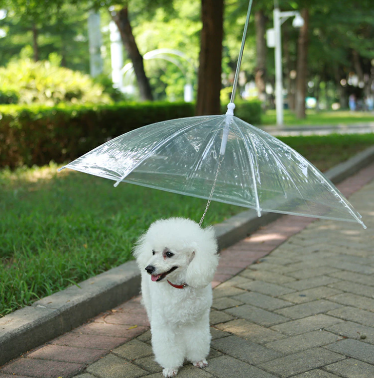 Clear Umbrella Pet Leash for Rain Protection Walks – RainWalk™